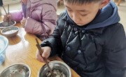 课程故事：菌菇的秘密