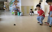 课程故事：你好，乌龟